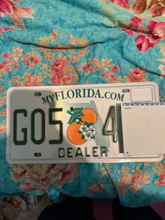 Florida Dealer Plates 1