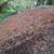 Affordable Falling Tree Cutting~Tree Trimming~Bush Hog~Lot Clean Up~ 9 thumbnail