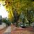 Vancouver west side Point Gray area, Bedrooms for Rent 3 thumbnail