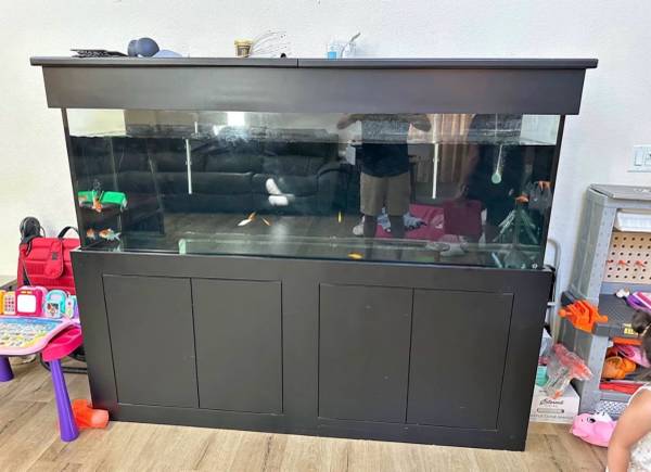 FREE FISHTANK 1