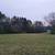 Land Clearing. Forestry Mulching. Bush Hogging 7 thumbnail