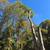 Professional Landscaping & Yard Maintenance – Free Estimates 3 thumbnail