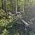 1997 Premier Tritoon 60hp 4stroke and trailer 9 thumbnail