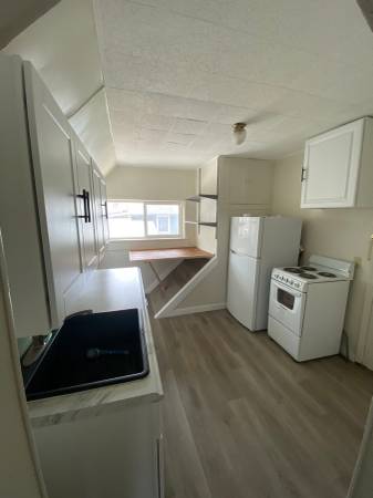$1,395 / 1br - (Roo2) ¡Uno de un dormitorio renovado! (Wenatchee)63785407188995121