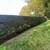 Property maintenance, west hartford, manchester, Bolton 6 thumbnail