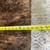 52x39 Geunine Cow Hide Brindle Bench/ Coffee Table / Ottoman Large 8 thumbnail