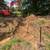 Tree services - tree removal -Bush hogging land clearing services 23 thumbnail