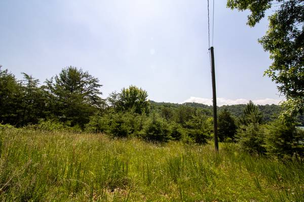 $45,000 Dumpy Land (Abingdon)63848628168193120