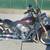 2011 Harley Davidson Softail Deluxe 2 thumbnail