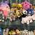 Stuffed Animals Great Condition! 2 thumbnail