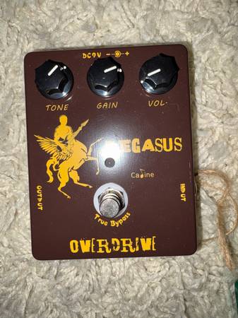 Caline Pagasus klon clone 1