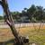 2 Deer Feeders,1 tripod stand 3 thumbnail