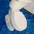 TOILET White Briggs ProFlo Bathroom Fixture Complete w Seat NICE 10 thumbnail