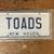 Vintage Toad's Place New Haven CT Rock Club License Plate Mint 4 thumbnail