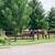 Horse Boarding 1 thumbnail