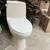 TOTO One-Piece Toilet – Excellent Condition 1 thumbnail