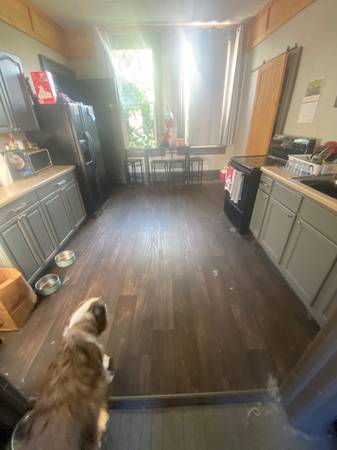 $945 / 2br - 2 bed 1 bath Dog Friendly Apartment in downtown Eau Claire (Eau Claire)63845959608323124