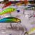 Eight (8) New Suspended Fishing Lures With BALLS  L-#69 1 thumbnail