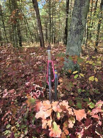 $17,000 1.37 Acres off the beaten path! (Bitely)64308162746243123