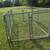 Dog kennel 3 thumbnail