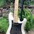 PRS SE NF 3 Pearl White, Maple Fingerboard w/gig bag, Fender Neck PU 3 thumbnail