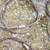 6 count wire rope slings & chokers heavy equipment logging 5 thumbnail