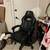 clothes, gaming chair, microwave n more 1 thumbnail