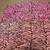 Two pieces of fabric, high-quality polyester, pink, and black 4 thumbnail