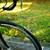 52CM Fuji Team 3 thumbnail