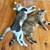 Rehoming Sibling Cats (Male + Female) 3 thumbnail