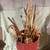 Walking Sticks & Canes 2 thumbnail