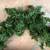 Artificial Green Christmas Garland 9' length 2 thumbnail