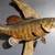 Taxidermy Smallmouth Bass, Salmon 5 thumbnail