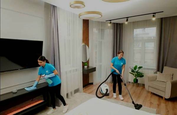 Detail Cleaning Assistant Needed 1