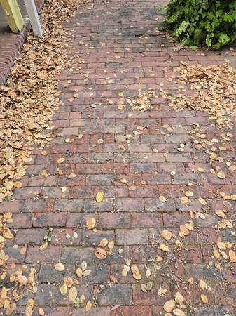 FLASH SALE!!! Lots of clay and cement bricks 4-6/$1, 1