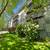 Huge Corner Unit with 2 Balconies! Walk to OSU from Park Plaza! 2 thumbnail