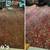 Affordable + Best Carpet Cleaning & more!! 7082537609 20% OFF 1 thumbnail