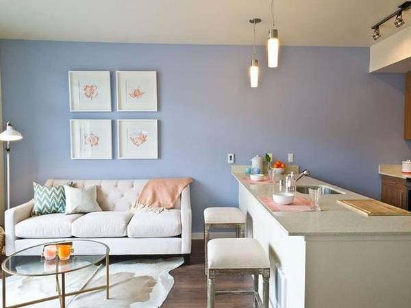 $1,775 / 404ft2 - Estudio inmejorable en Capitol Hill - Terraza en la azotea, camina a todas partes! (Capitol Hill)63862287829123120