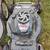 Lawn mowers 7 thumbnail