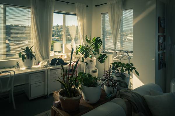 $360 From Blank Walls to Big Ideas (Ballard)63786849477889121
