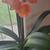 Aechmea / Clivia / Cactus/ Hoya Carnosa/Aloe vera 3 thumbnail