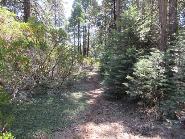 $52,000 Level 2.5 acres with septic/View of Lassen (Shingletown)63972532571138120