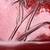 Vintage Japanese Red Lacquer Tray Looks like Kamakura-Bori Lacquerware l 5 thumbnail