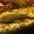 Bristlenose Pleco fish for sale 6 thumbnail