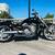 2012 Harley Davidson V-Rod Muscle only 497 original miles 2 thumbnail