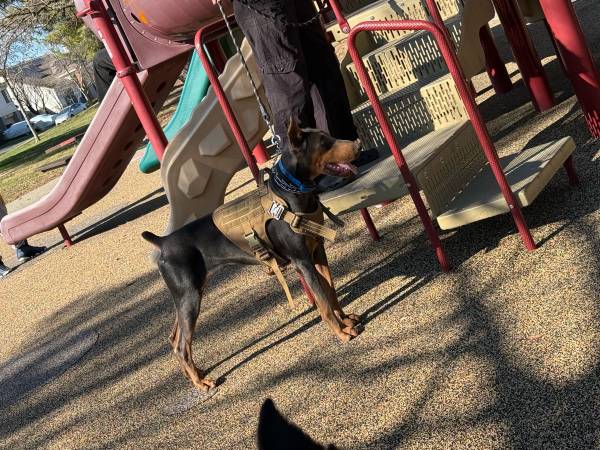 Rehoming (Antioch)63861462756355121