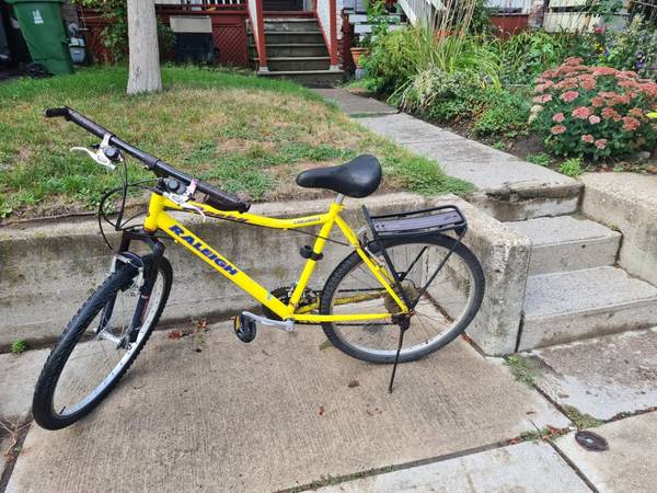 26" Raleigh  mountain bike 1