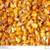 LOW DUST -- Coarse Cracked Corn , black oil sunflower , CoB corn 2 thumbnail