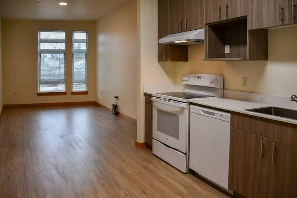 $1,610 / 1br - 525ft2 - Luxurious 1 bed / 1 bath available with convenient washer & dryer (Renton)63688626735747123