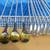 vintage set of Ladies Lynx Tigress  golf clubs....13 total clubs 6 thumbnail